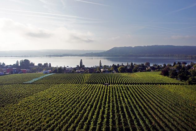 Weingut Grillette Domaine De Cressier