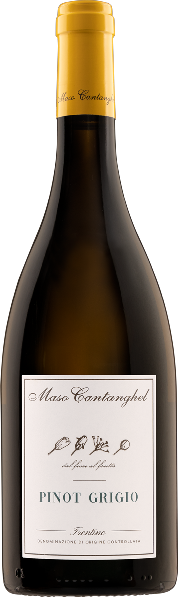 Maso Cantanghel Pinot Grigio BIO Trentino DOC