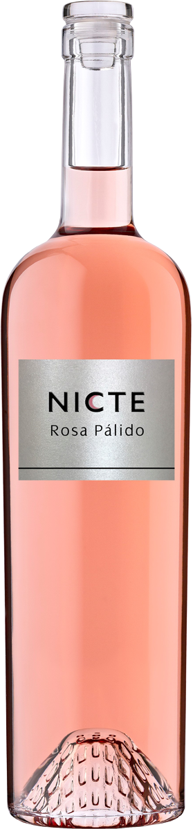 Nicte Rosa Pàlido Castilla y León VdT
