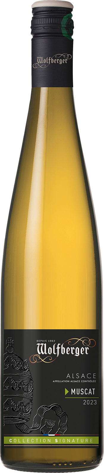 Signature Muscat AOC Alsace