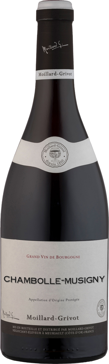Moillard-Grivot  Chambolle-Musigny AOC